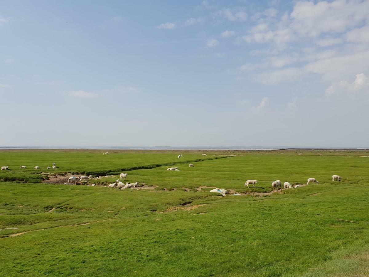 Вилла Kleines Haeuschen Am Deich, Vor Den Toren Von Sylt Emmelsbull-Horsbull Экстерьер фото